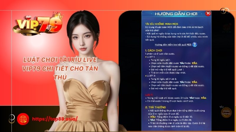 Luật chơi tài xỉu live Vip79 chi tiết cho tân thủ Luật chơi tài xỉu live Vip79 chi tiết cho tân thủ